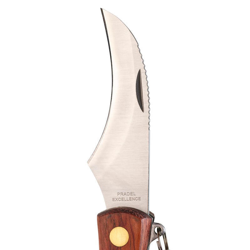 Gombász kés, 7 cm, összecsukható, rozsdamentes acél 