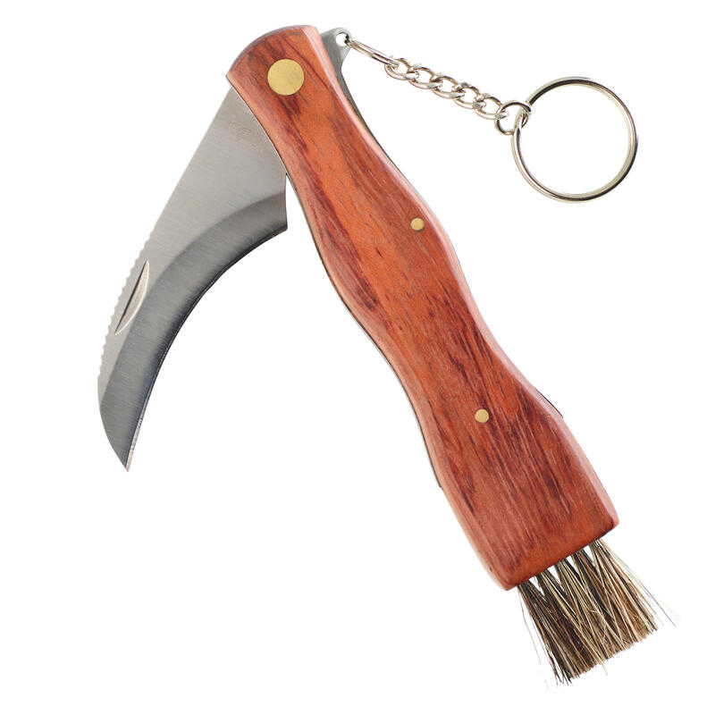 Coltello curvo a fungo con manico in legno naturale a serramanico - La  Boutique du Champignon