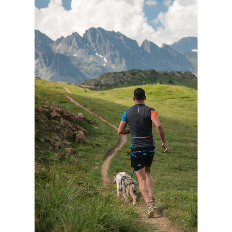 harnais chien canicross, jogging, promenade, trekking
