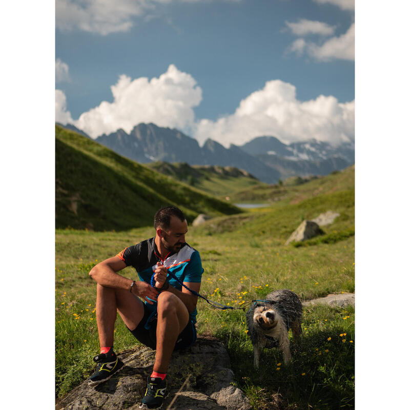 Baudrier de canicross/canirandonnée, Inlandsis Aircross bleu/noir