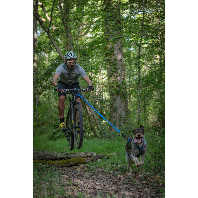 Hondenlijn voor bikejöring blauw