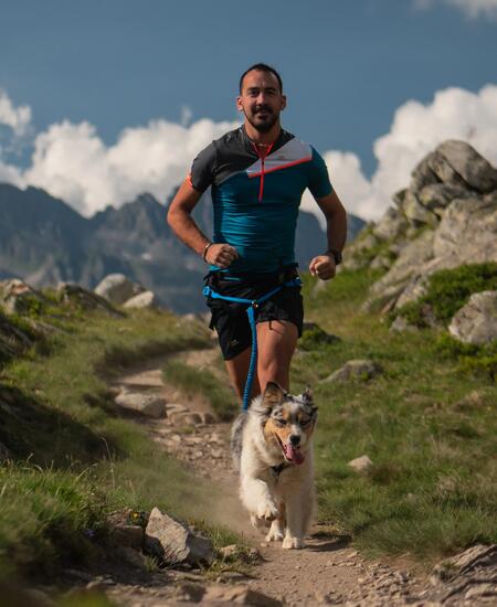 Un article qui donne des astuces pour bien courir avec son chien