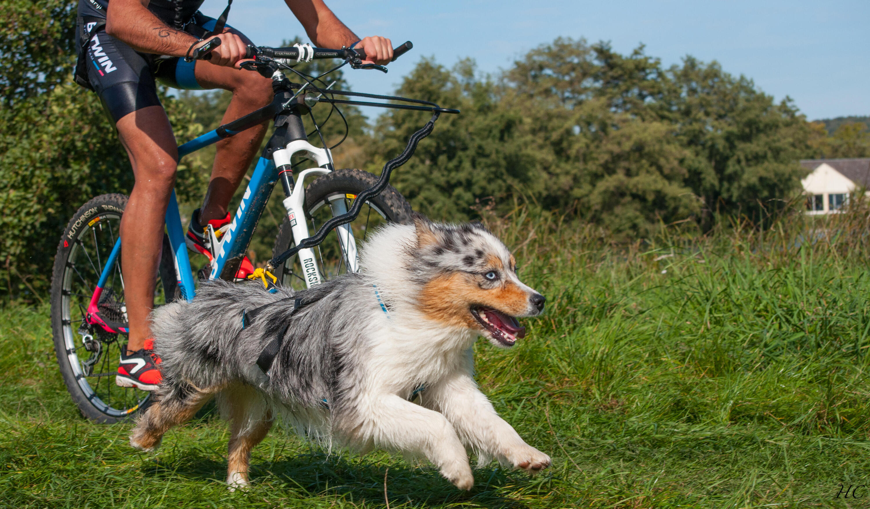 Barre de canivtt Bikejor max 4/5