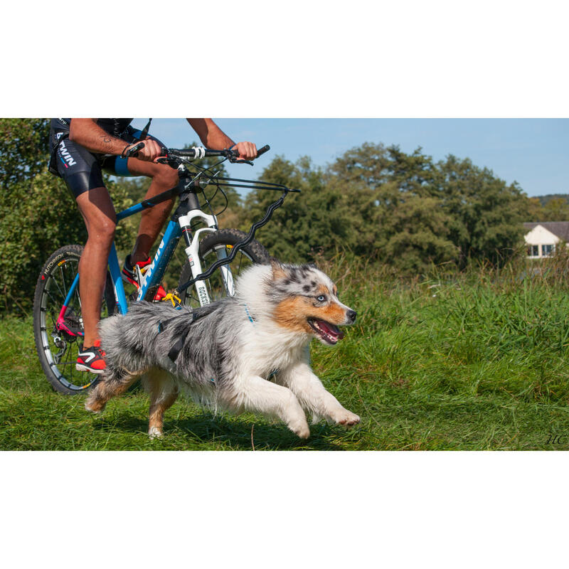 Hundezuggeschirr ‒ Canicross/Bikejöring Polar Quest blau/schwarz