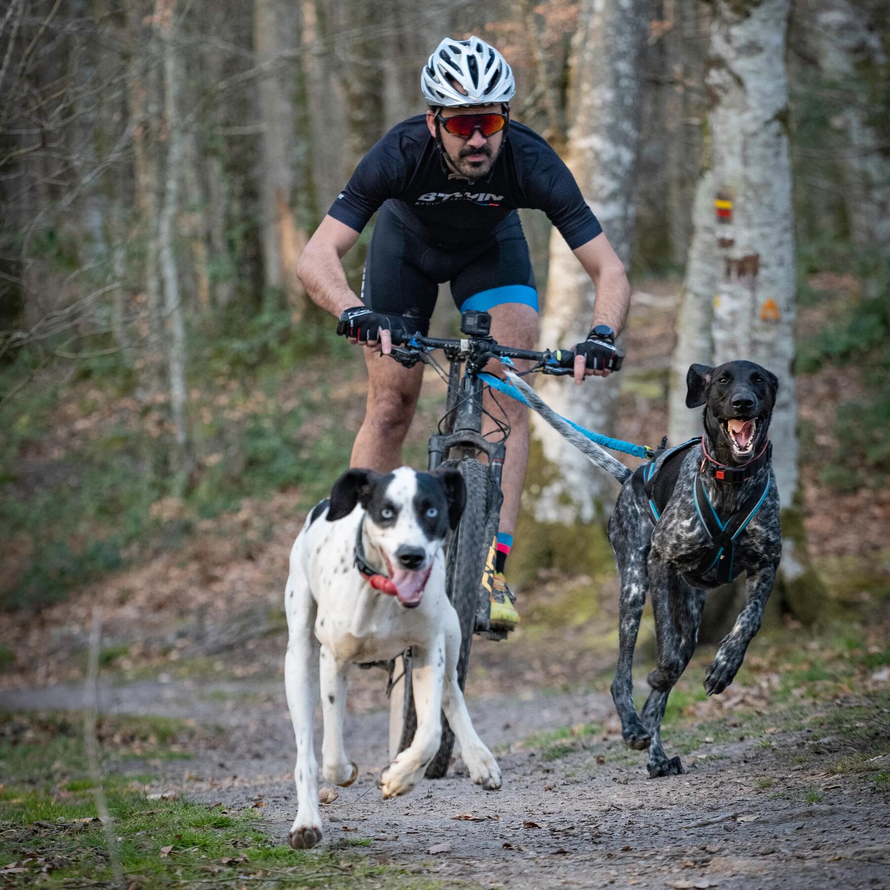 Bikejöring: mountainbiken samen met je hond