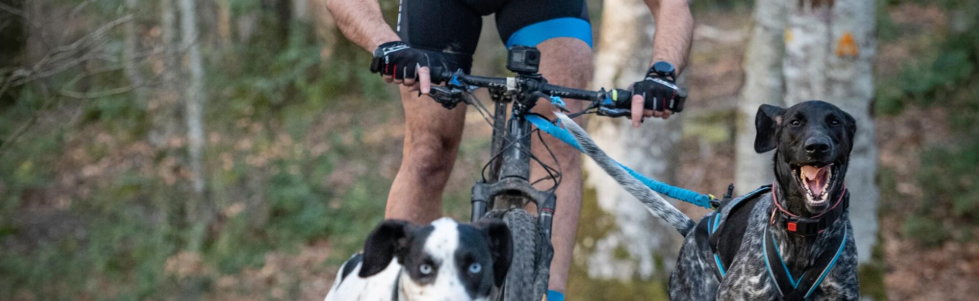 Bikejöring: mountainbiken samen met je hond