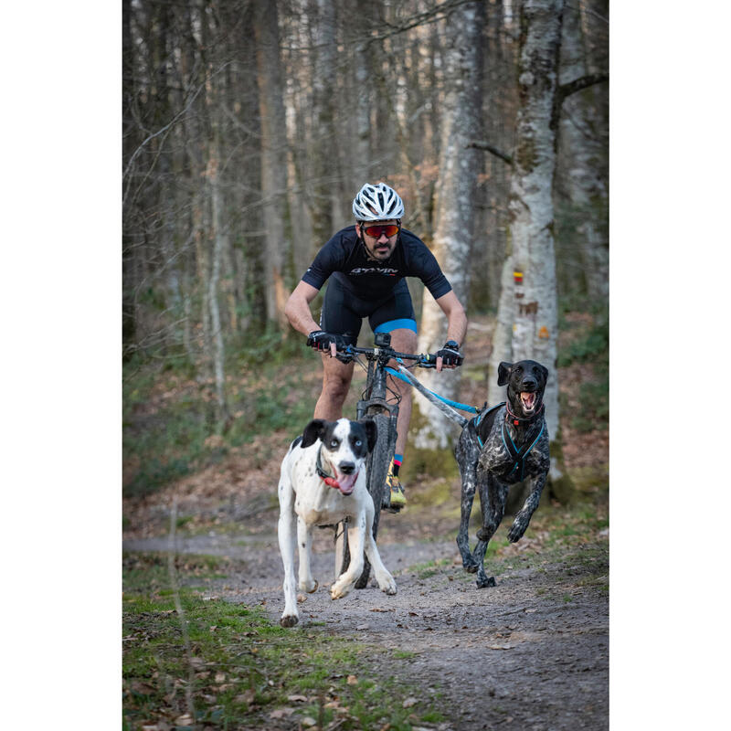 Arnés Canicross/Bikejoring Polar Quest Azul Negro