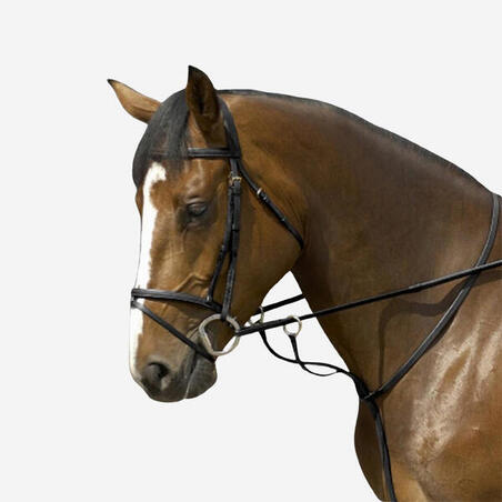 Martingale med ringar - Schooling - Häst svart 