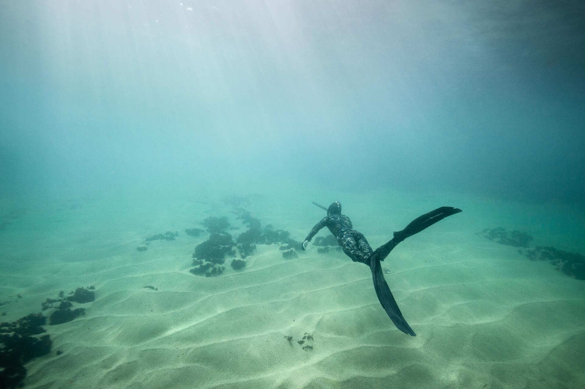 comment se lester chasse sous-marine subea