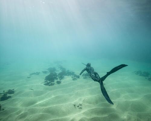comment se lester chasse sous-marine subea