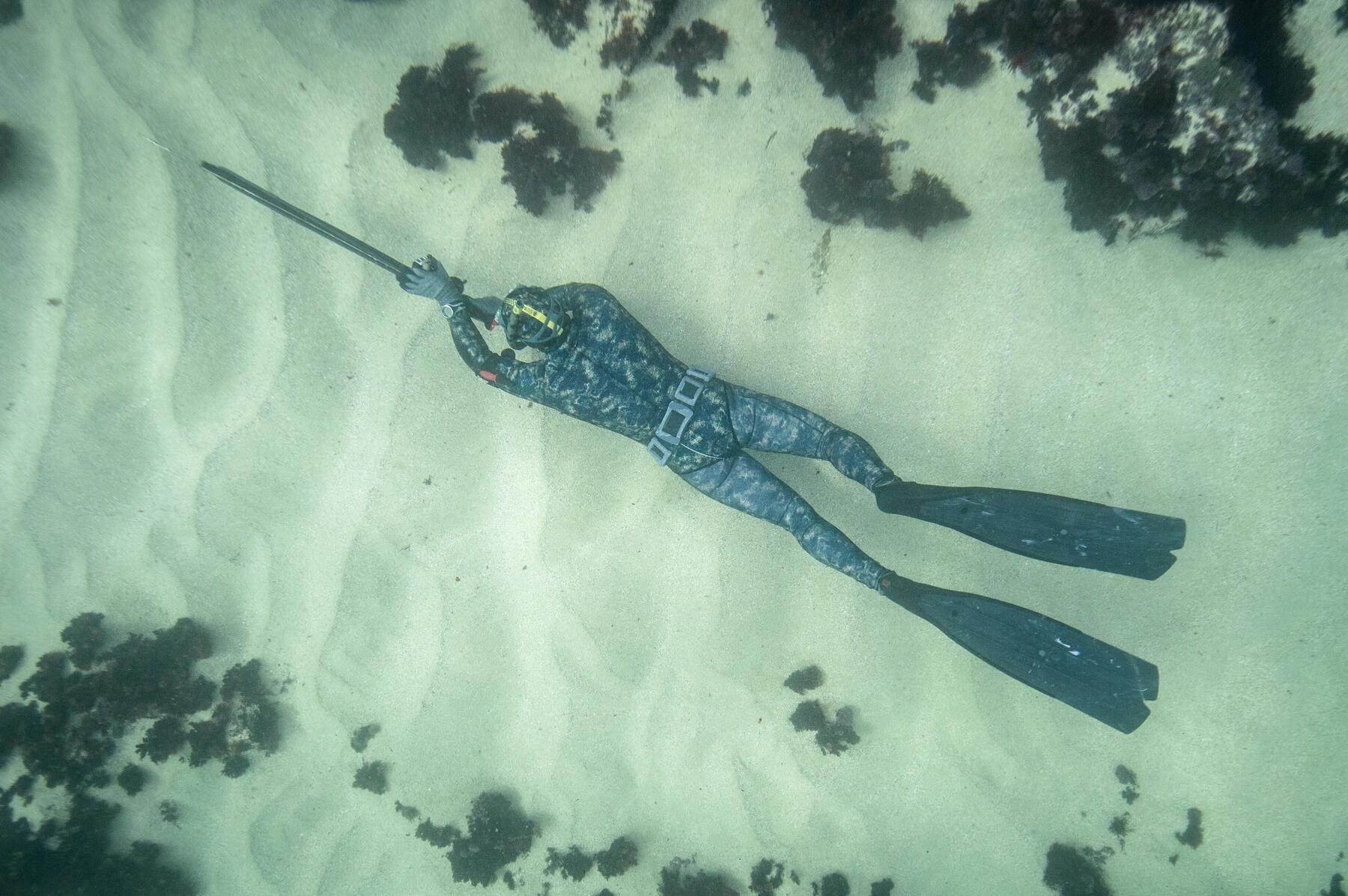 Comment choisir son lestage en chasse sous-marine ?