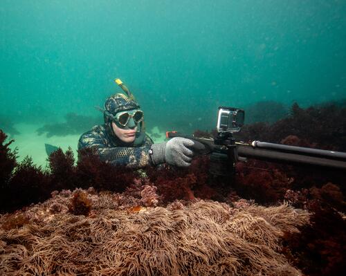 conseil monter flèche arbalète chasse sous marine astuces subea 