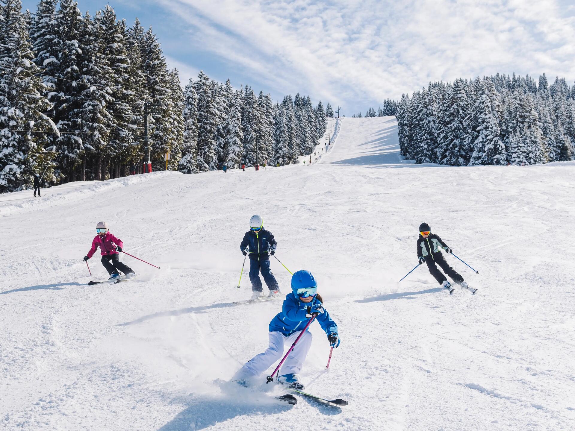 kinderen die tussen dennenbomen skiën