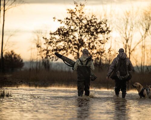 Comment choisir et utiliser son appeau pour chasser le gibier d'eau ?