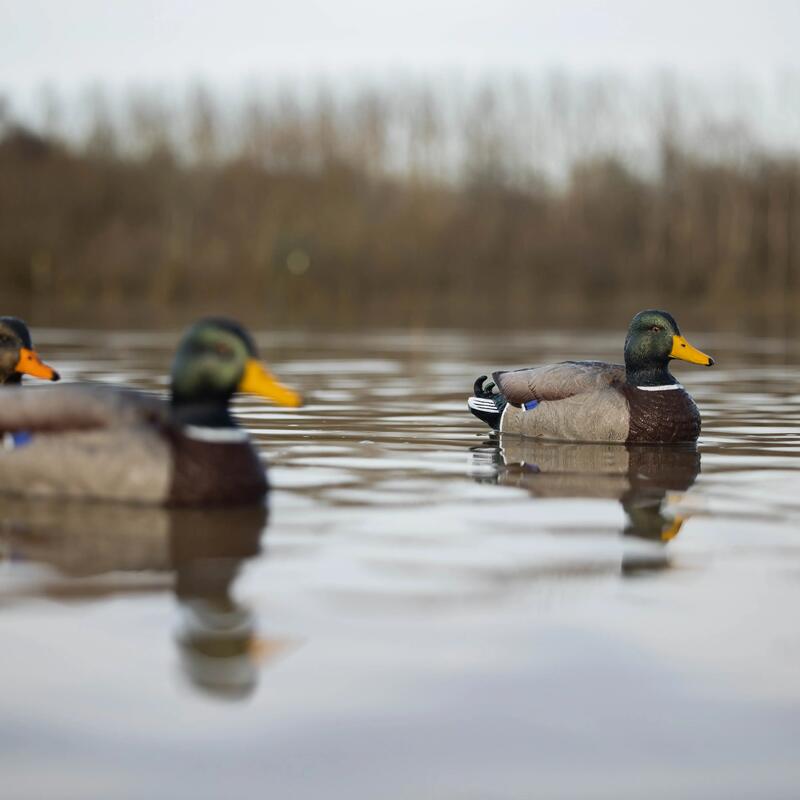 Forme colvert moussée : pour encore plus de réalisme