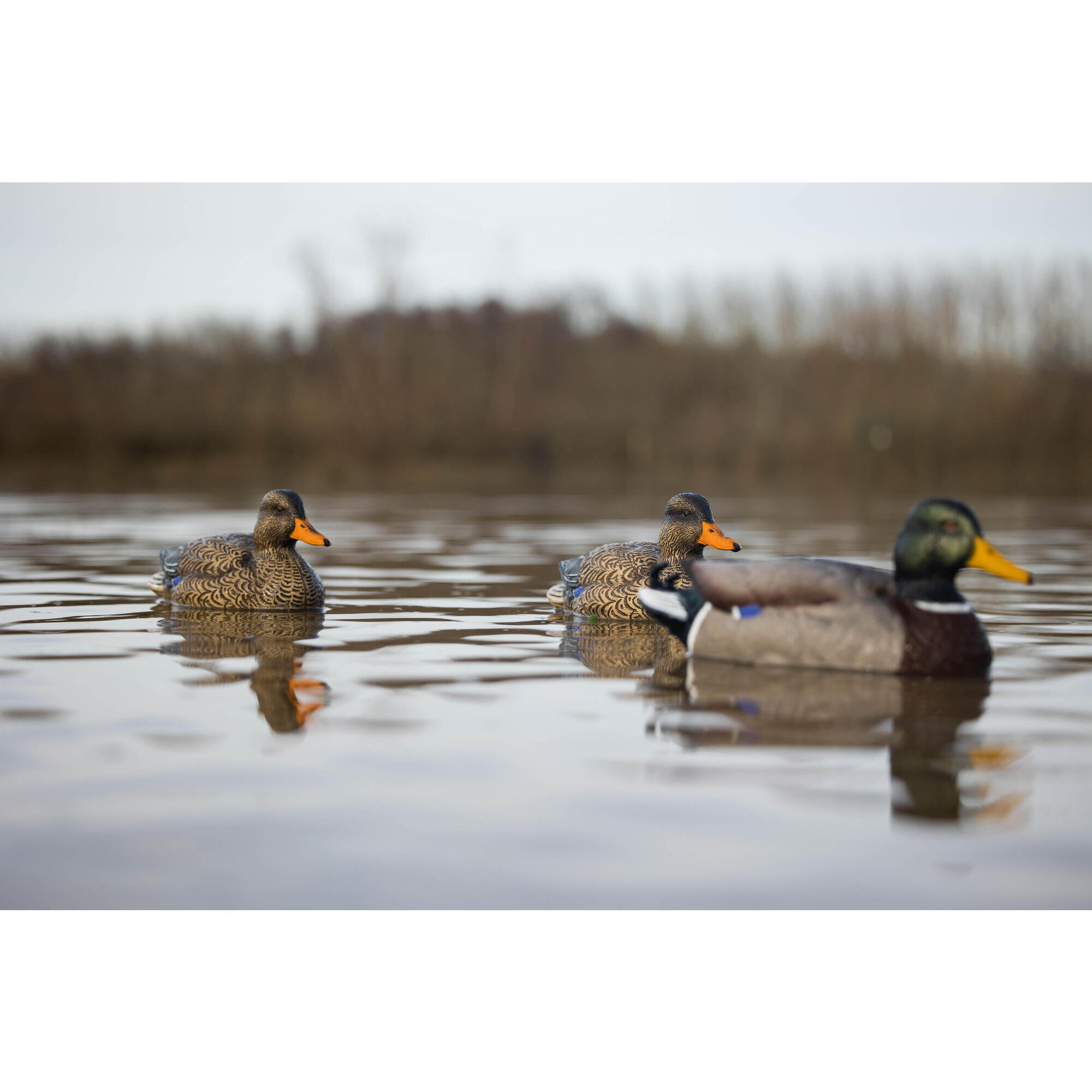 ЧУЧЕЛО КРЯКВА САМКА УТКИ 500 SOLOGNAC