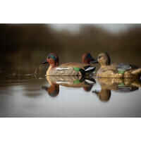 TEAL DECOY 100 MALE