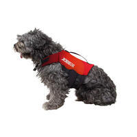 GILET DE FLOTTAISON POUR CHIEN POUR PRATIQUER LE STAND UP PADDLE, KAYAK, VOILE