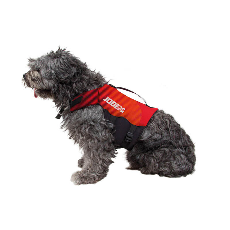 GILET DE FLOTTAISON POUR CHIEN POUR PRATIQUER LE STAND UP PADDLE, KAYAK, VOILE