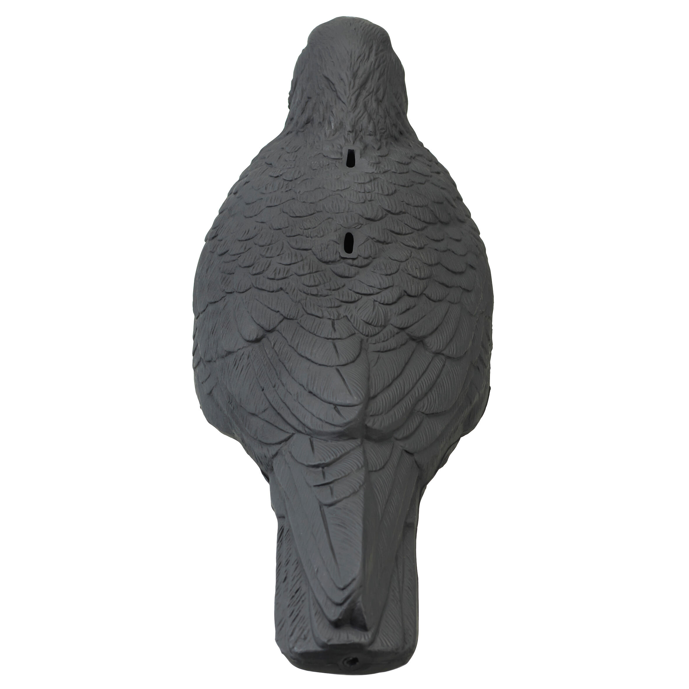 FORME 3D CORVIDE 100 5/7