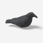 Stampo 3D corvidi 100