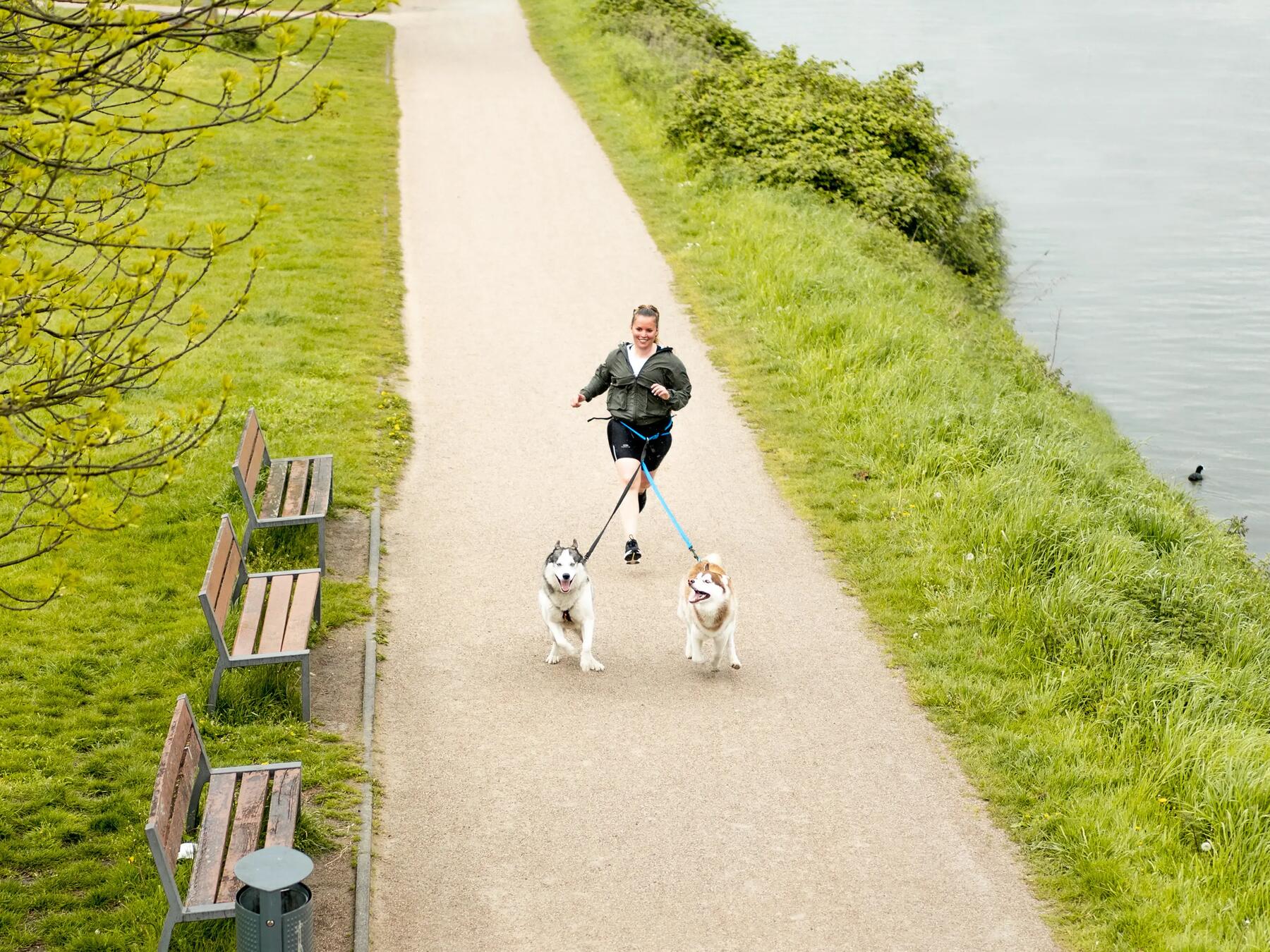 courir avec son chien