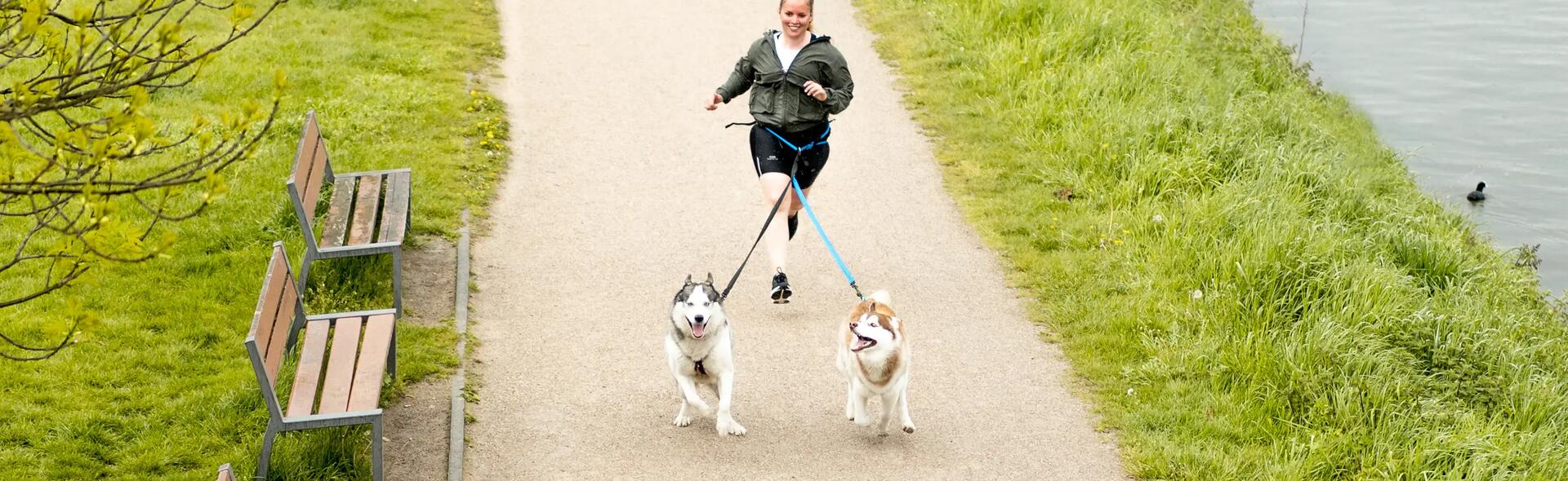 Comment courir avec son chien ? Nos conseils pour débuter