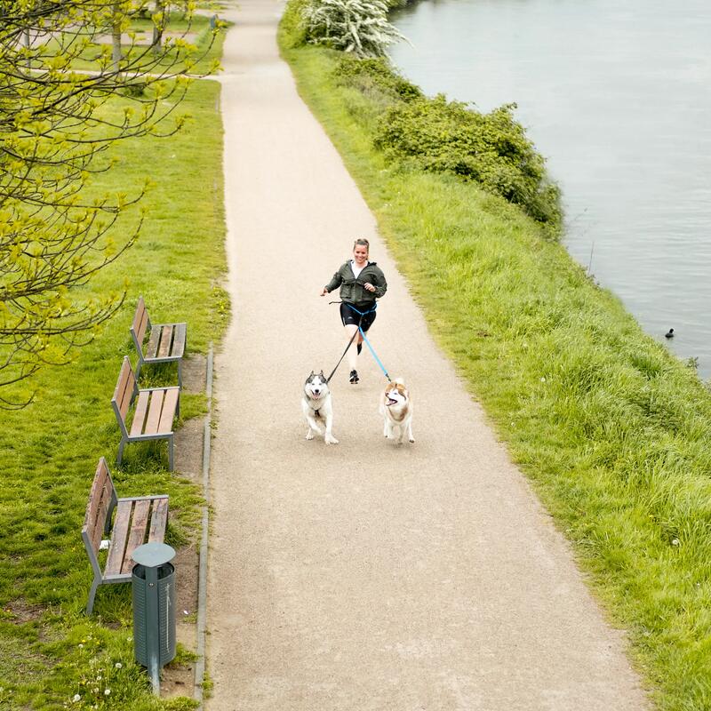 Comment courir avec son chien ? Nos conseils pour débuter