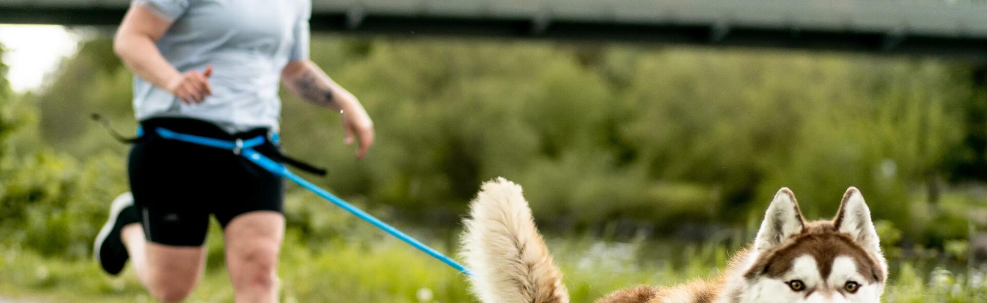 Une femme en canicross avec son chien