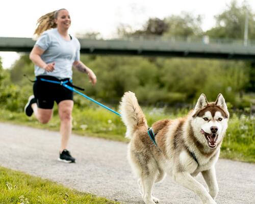 Une femme en canicross avec son chien