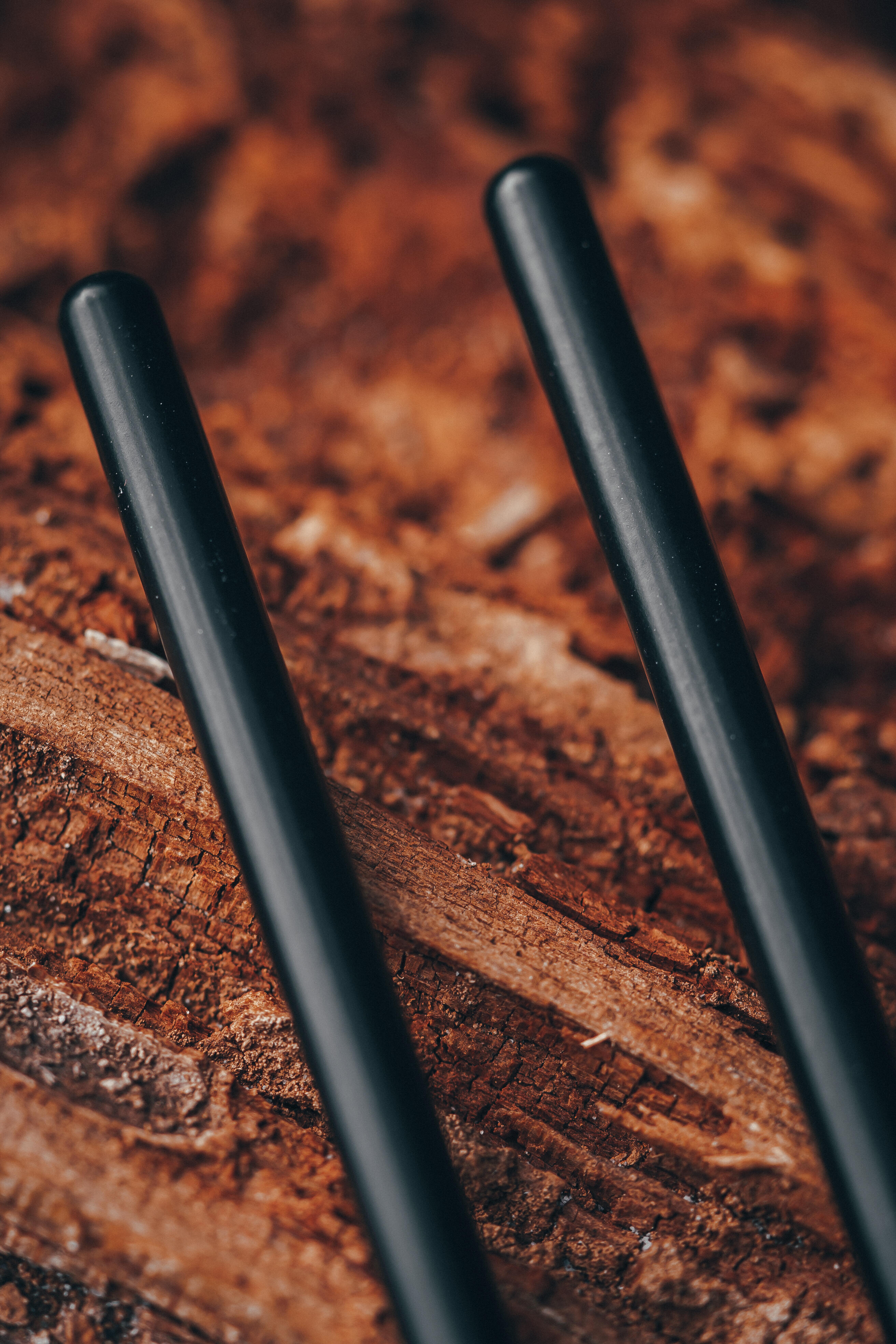 Snag bar carp fishing 8/8