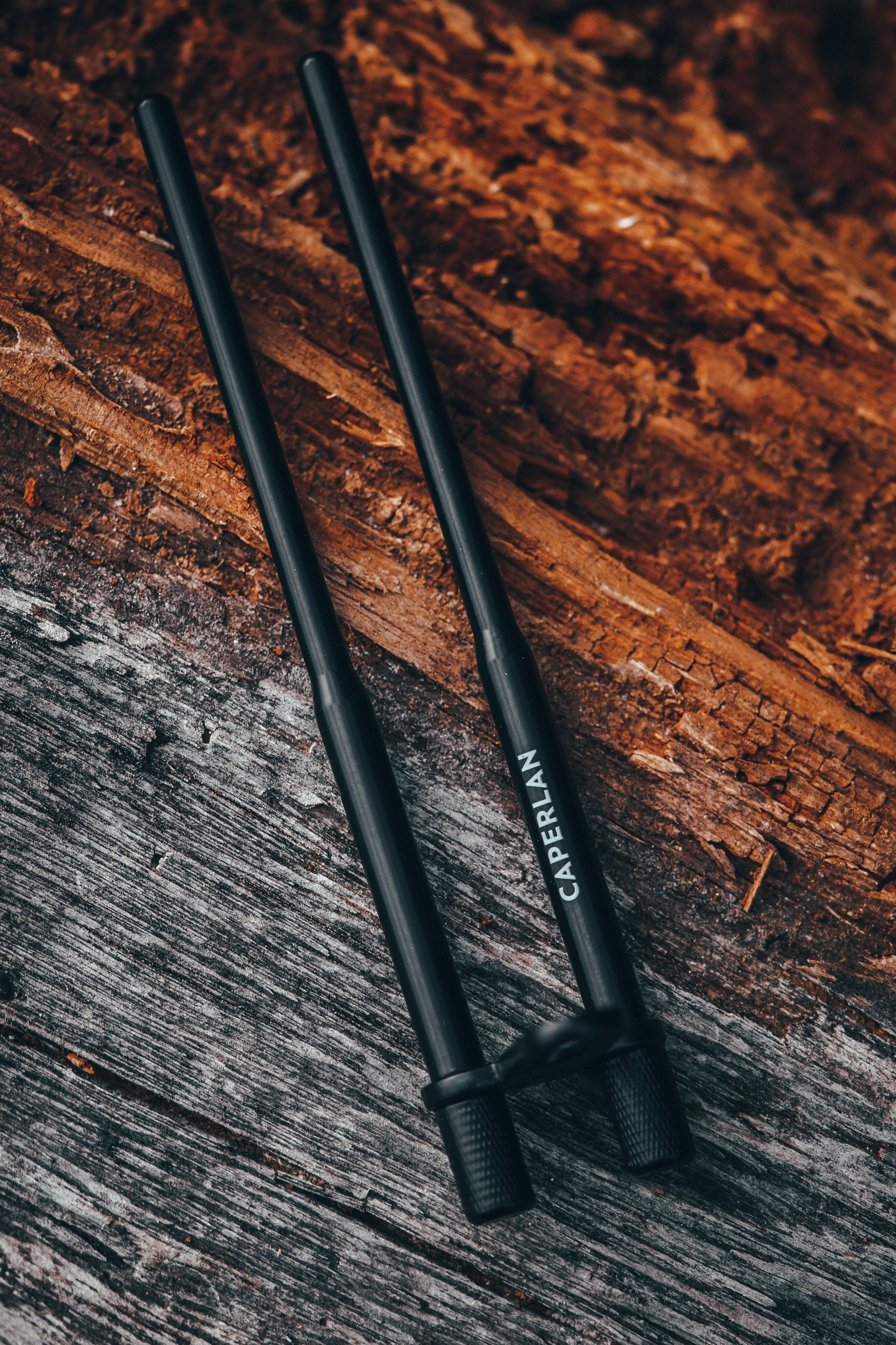Snag bar carp fishing 3/8