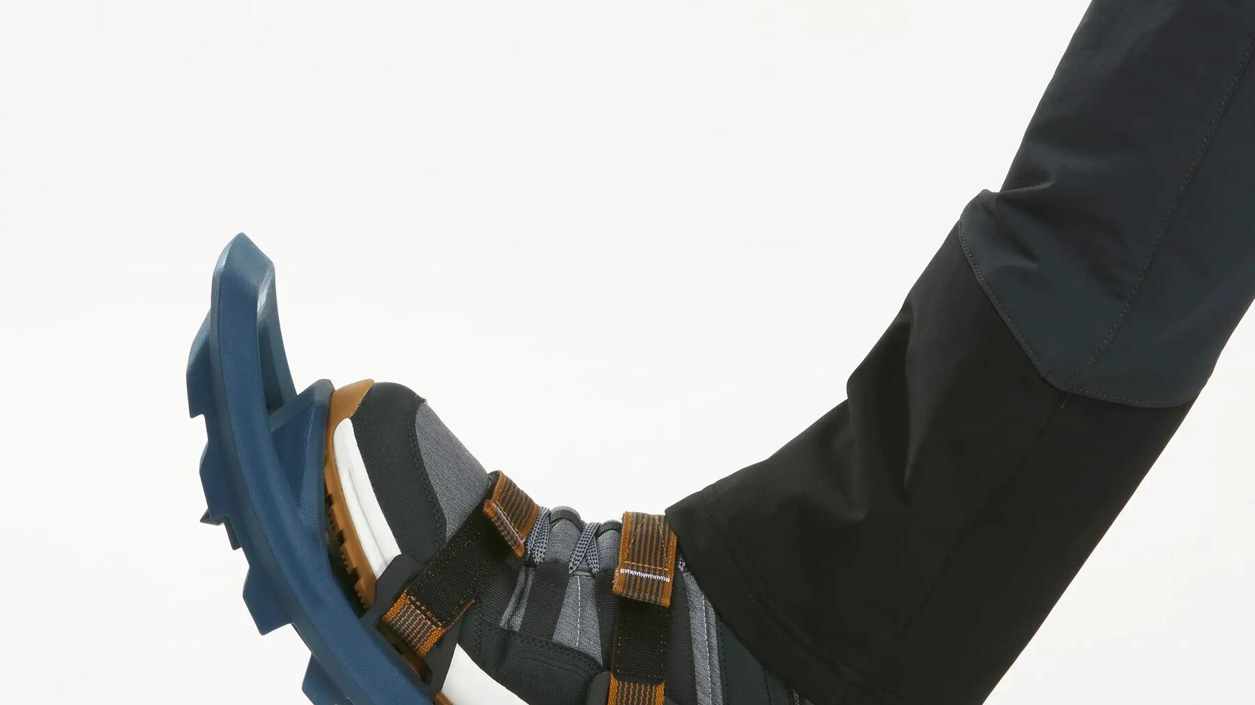 banner snowshoeing