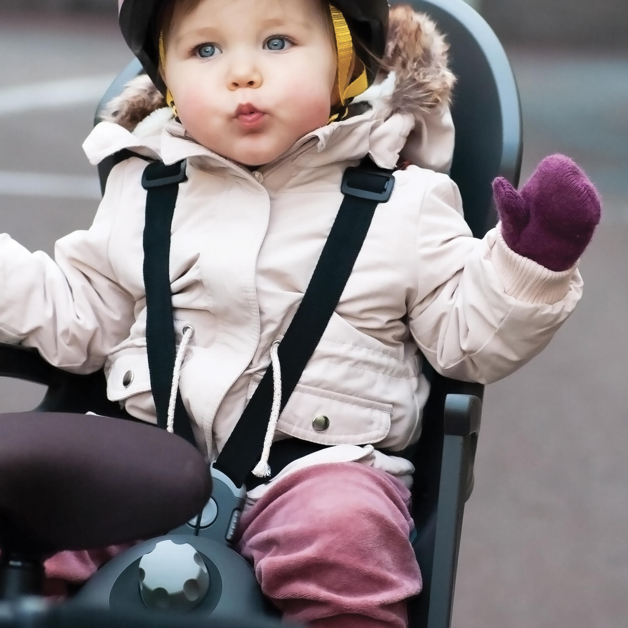 Child bike shop seat pannier rack