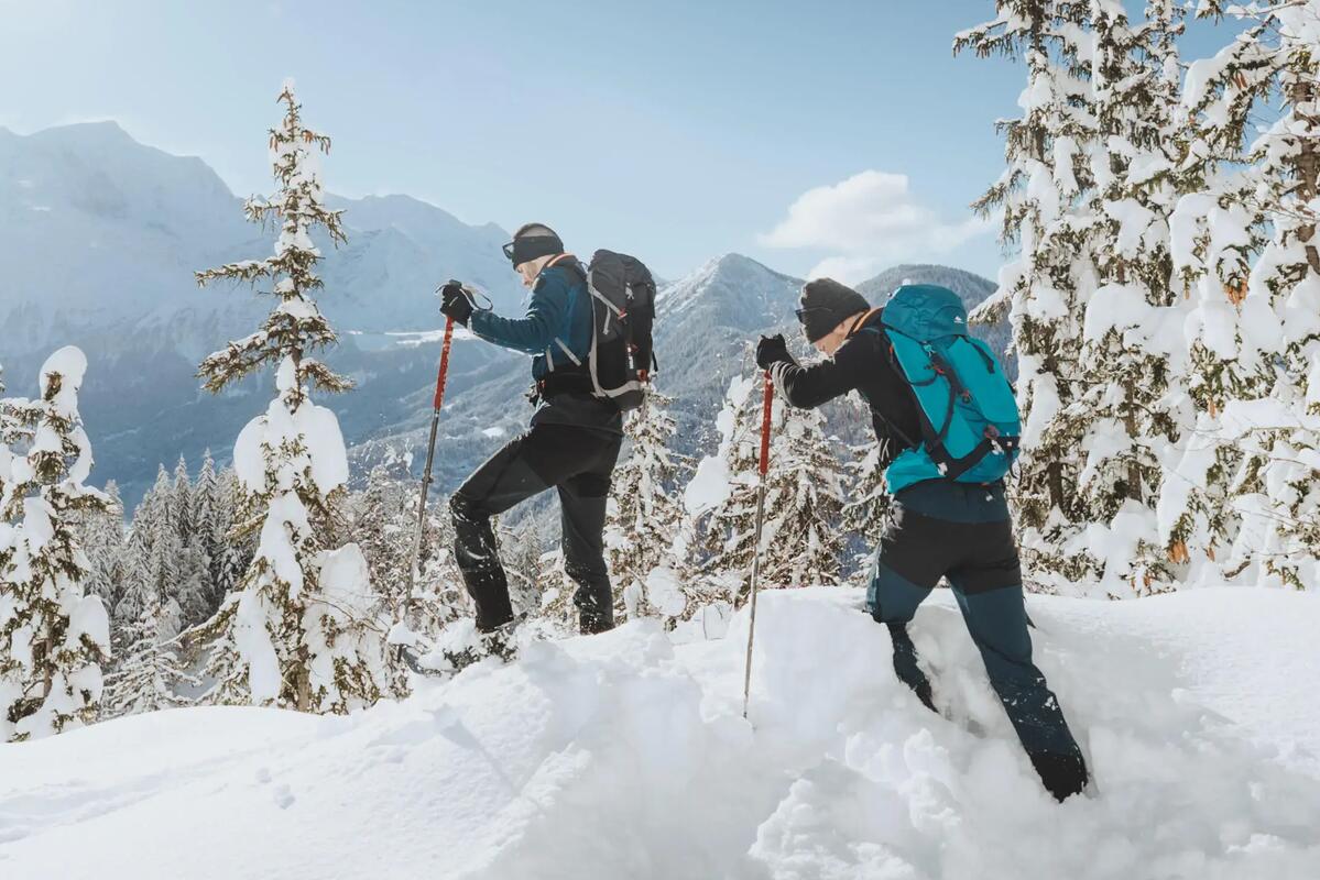 Snow hiking poles
