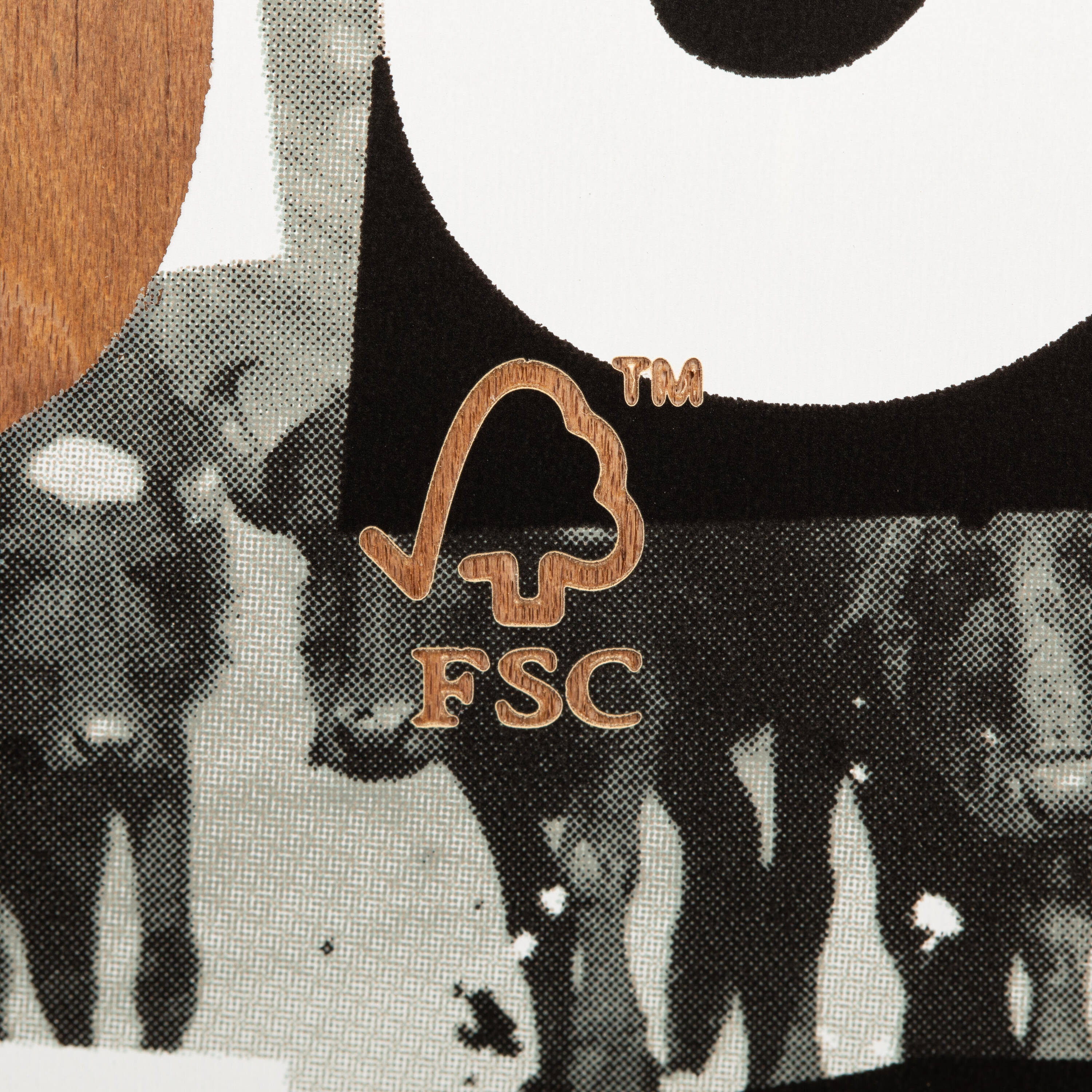 8.25 Inch Skateboard Deck Rural Changemakers DK120 -  5