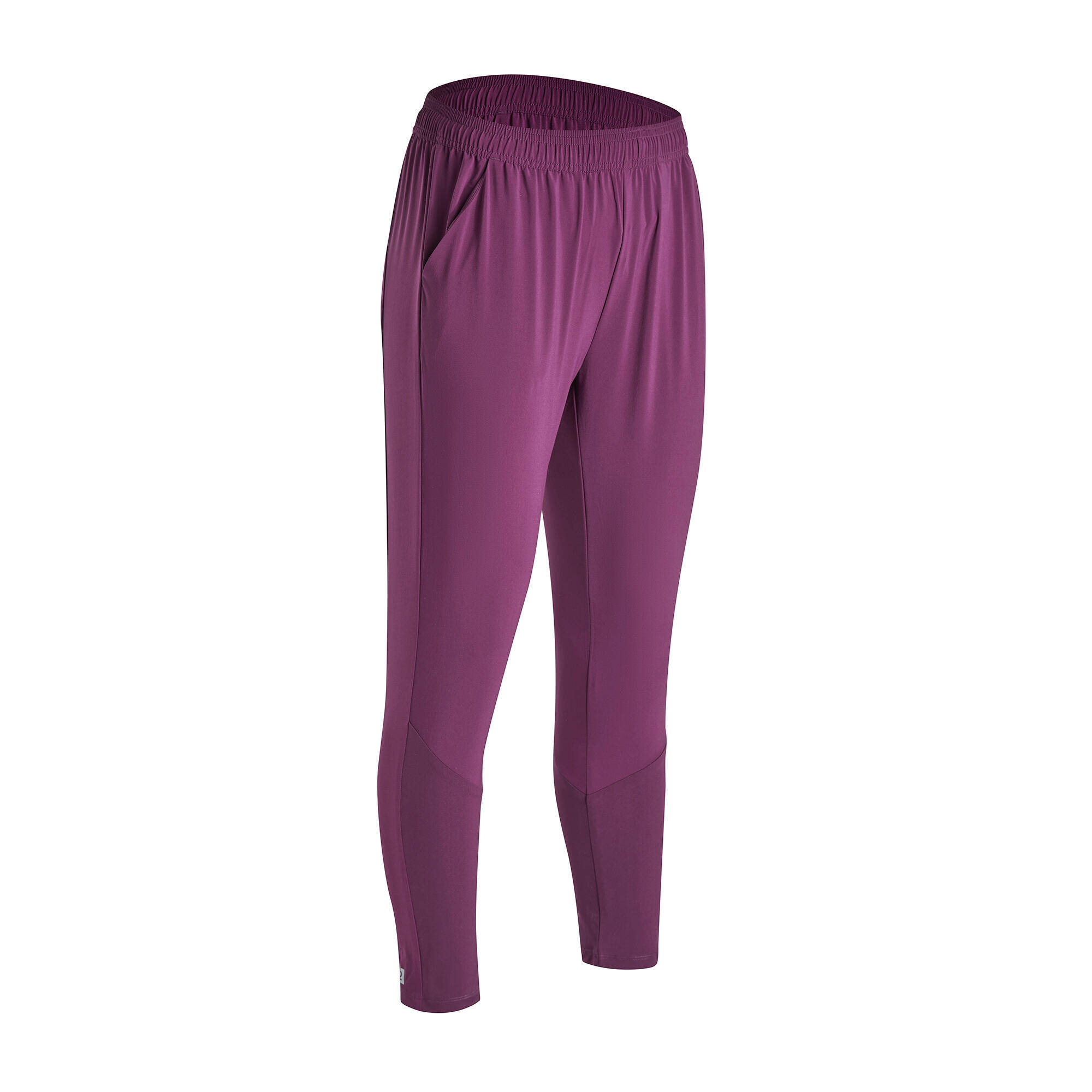 Women Gym Pants Carrot-Cut - Purple