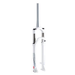 Forcella 27,5 1"1/8 100mm disco 30 silver bianca