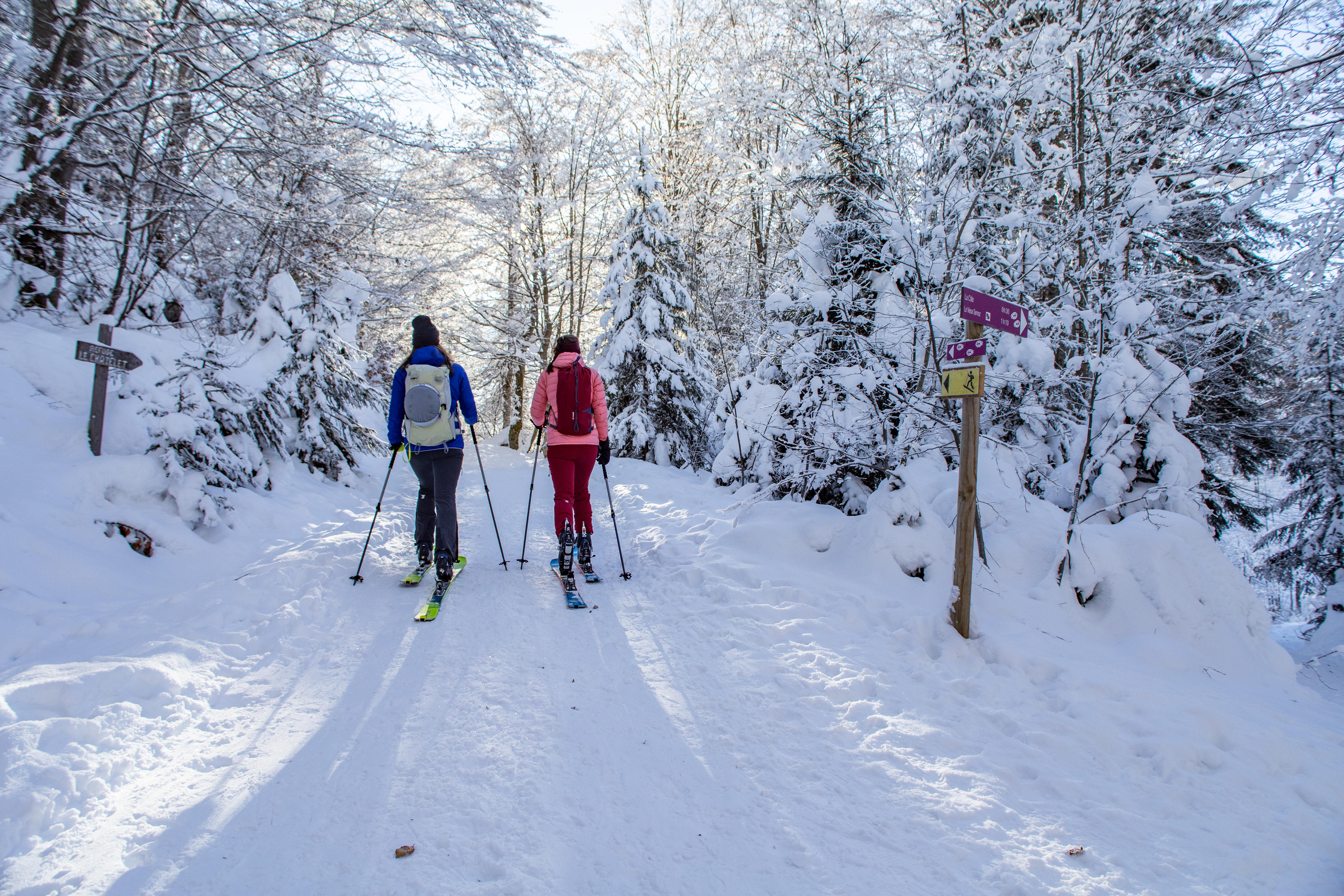 Skis de randonnée avec fixations et peaux - XLD 500 - WEDZE