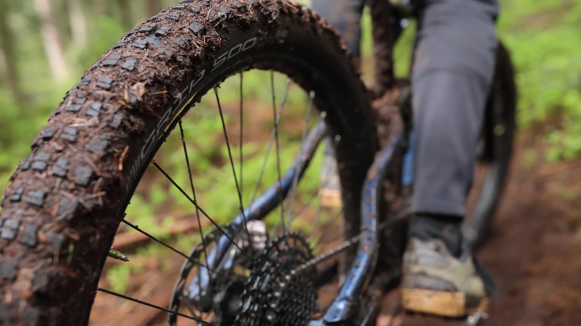 Close-up of sidewall