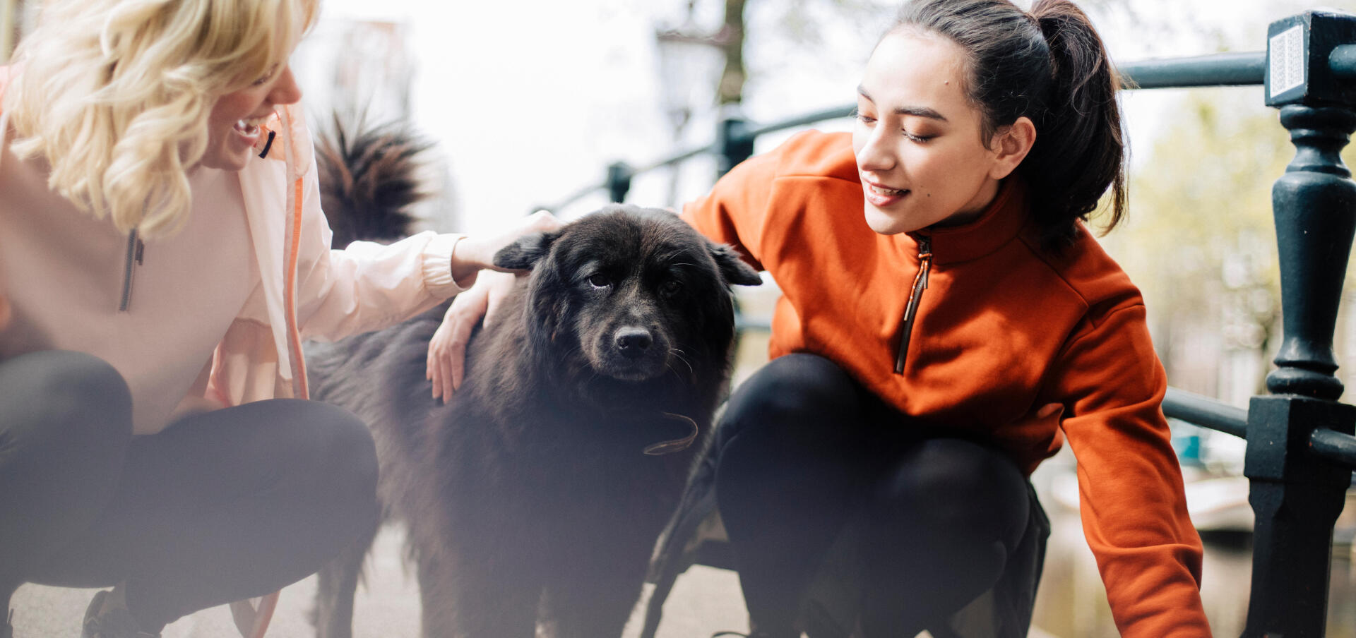6 bonnes raisons de courir avec son chien