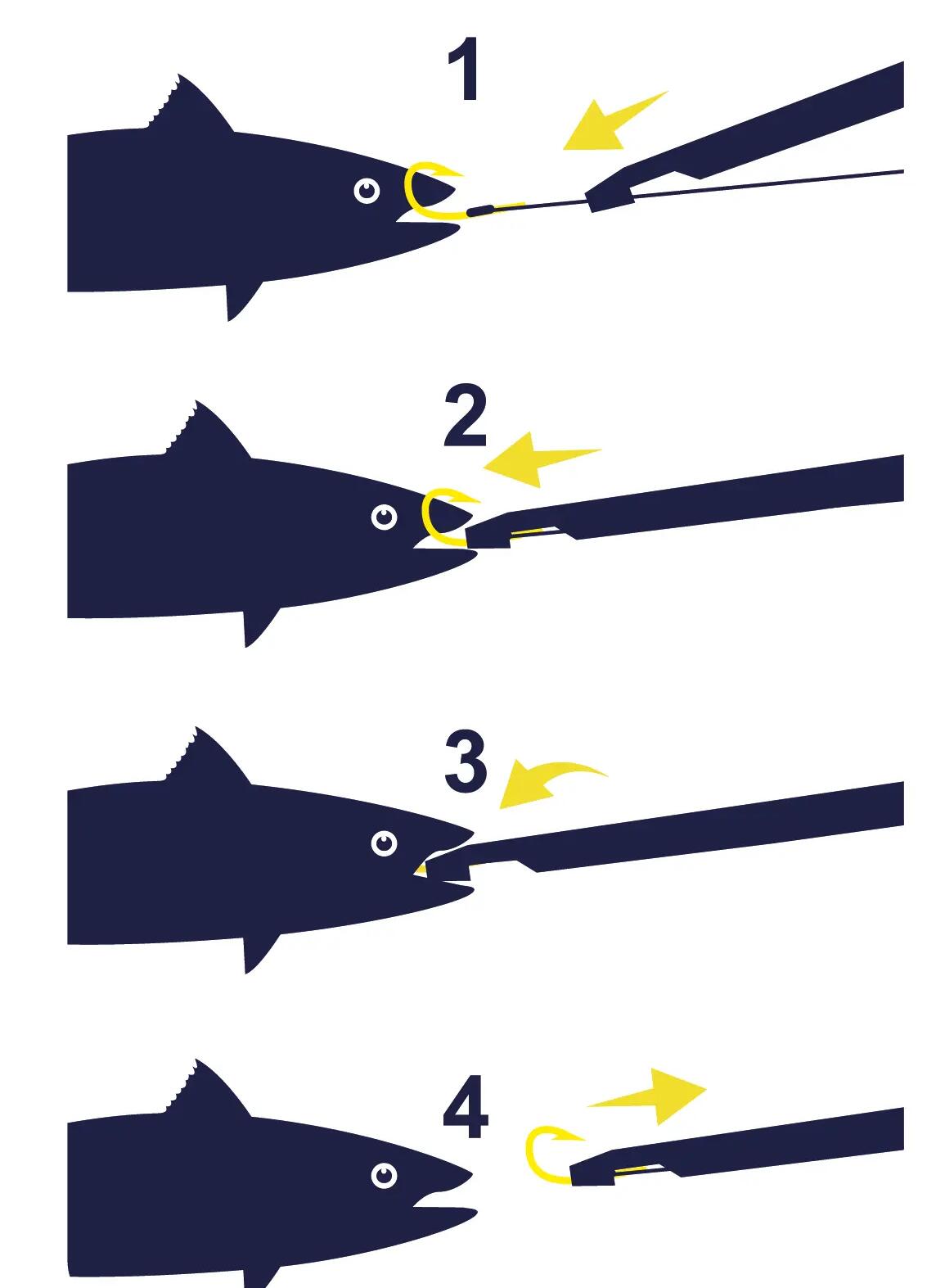 COMMENT UTILISER SON KIT DECOUVERTE UFISH ?