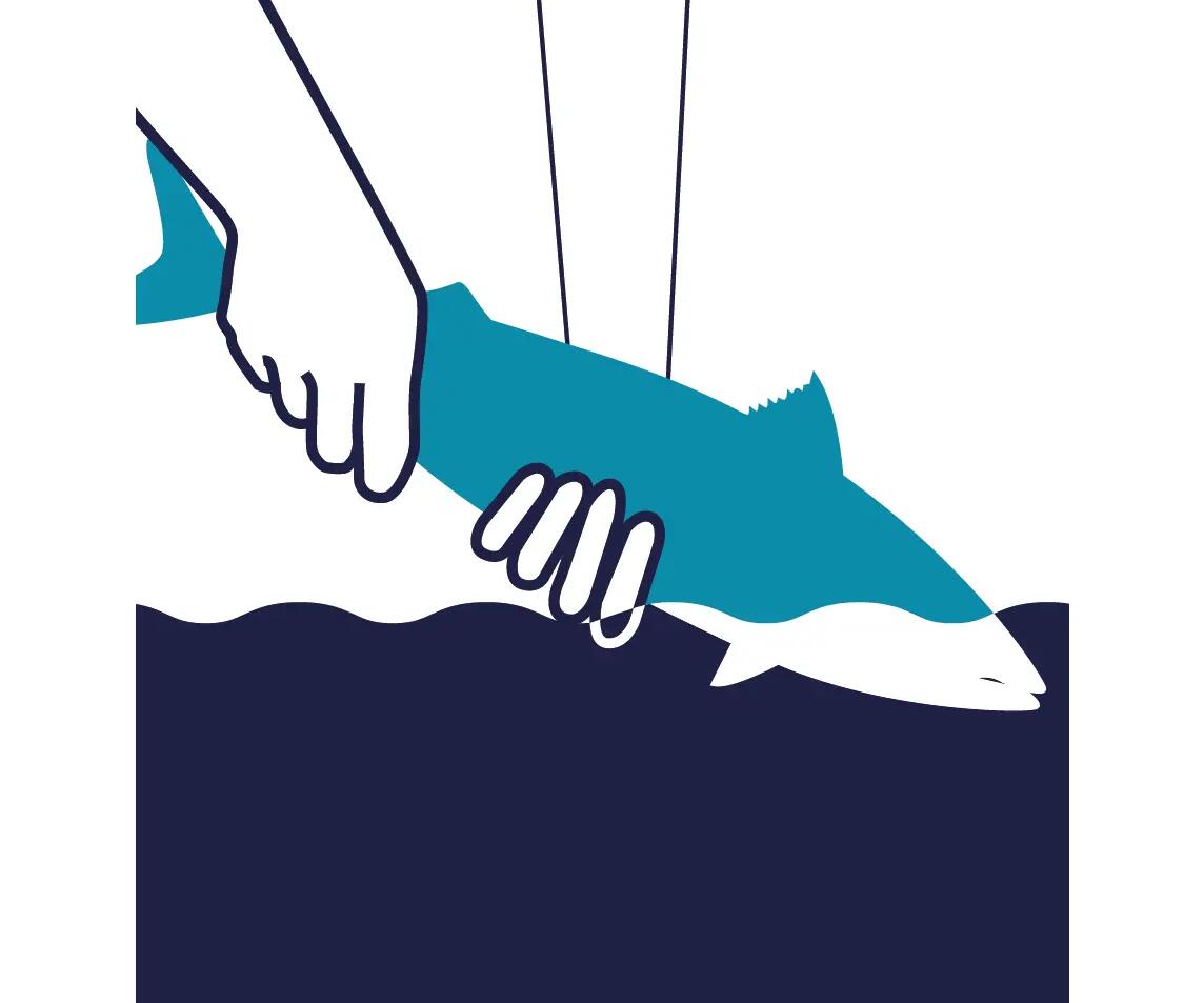 COMMENT UTILISER SON KIT DECOUVERTE UFISH ?