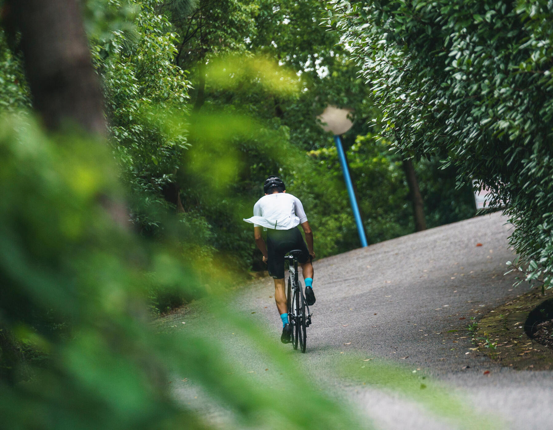 man riding on cycling route near Ottawa and Gatineau