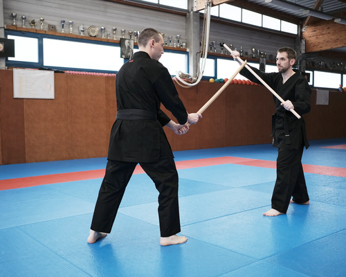 mężczyźni trenujący sztuki walki z kijami do aikido