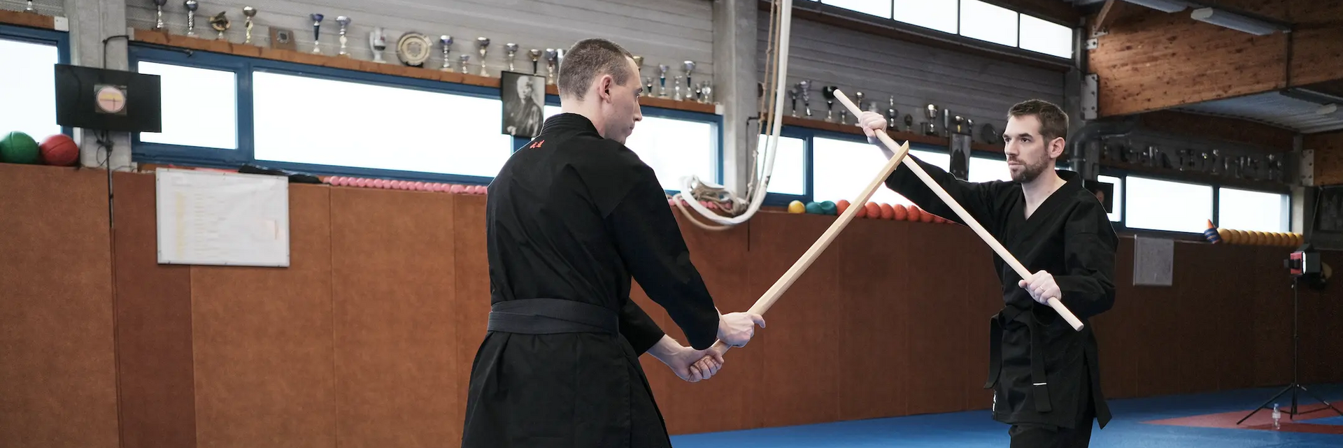QUEL EST LE MEILLEUR ART MARTIAL POUR MOI? (choisir un art martial)