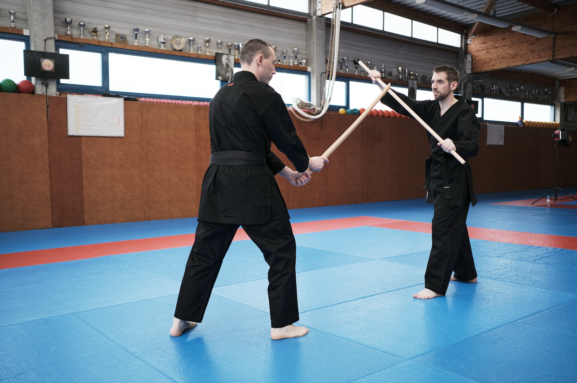 WHAT IS THE BEST MARTIAL ART FOR YOU? (choosing a martial art)