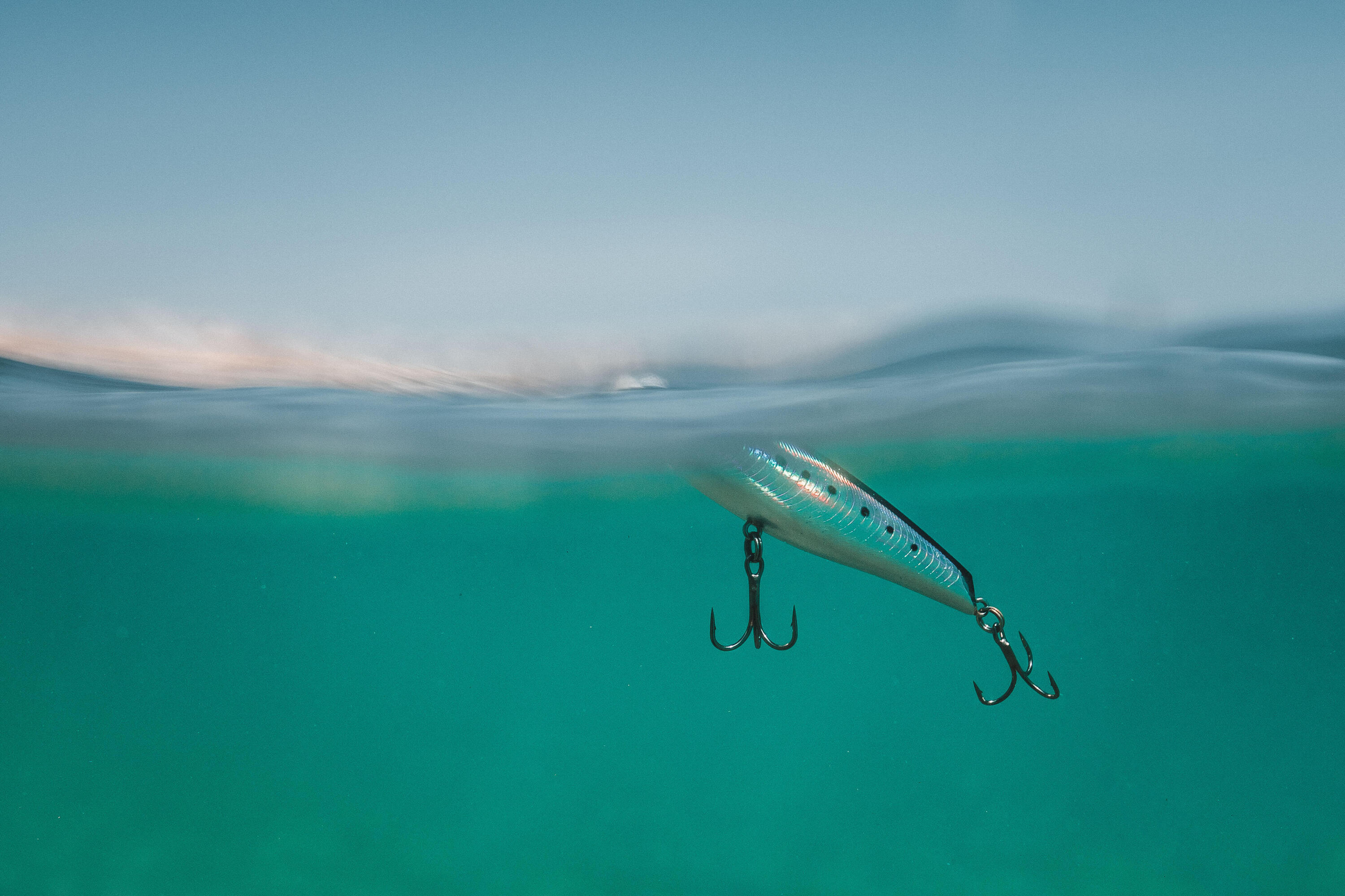 Minnow pesca in mare con artificiali WIZDOM 95 F sardina blu 6/7
