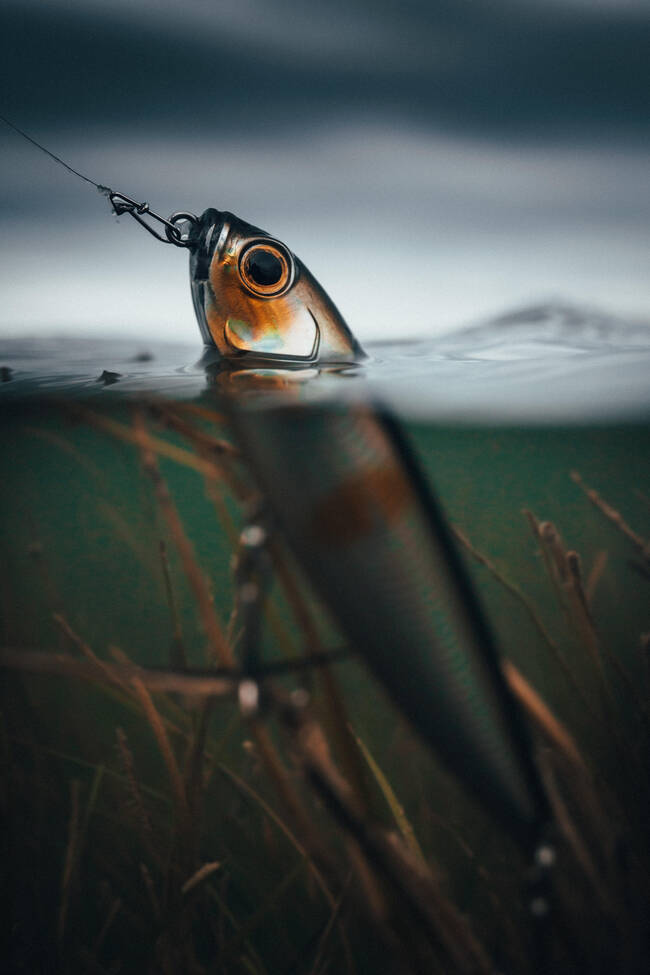 Fishing Lures Pack – 12 Free Macro Images