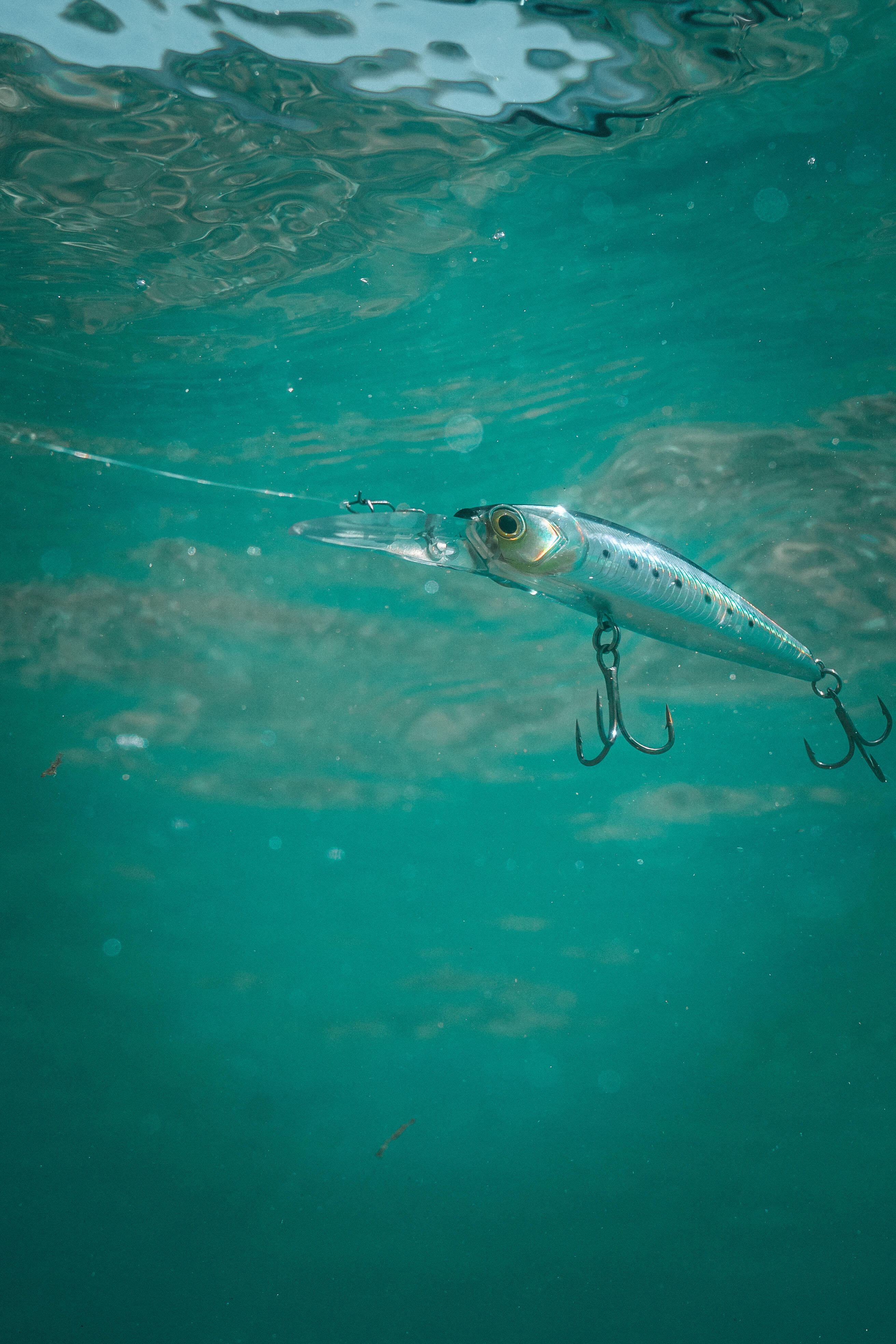 Buy WDDDYYE Fishing Lures/30Pcs 14Cm 40G Squid Lure Fishing Lure Wobbler  Jigs 14Cm 40G Fishing Lures For Trolling Bionic Squid Minnow Artificial  Hard Bait Online at desertcartKUWAIT